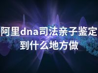 阿里dna司法亲子鉴定到什么地方做