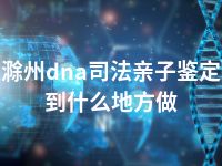 滁州dna司法亲子鉴定到什么地方做