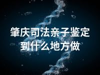 肇庆司法亲子鉴定到什么地方做