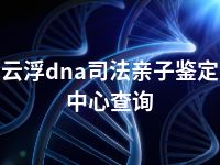 云浮dna司法亲子鉴定中心查询