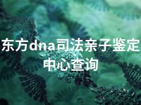 东方dna司法亲子鉴定中心查询