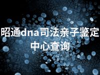 昭通dna司法亲子鉴定中心查询