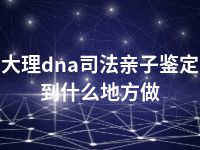 大理dna司法亲子鉴定到什么地方做