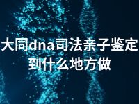 大同dna司法亲子鉴定到什么地方做