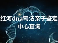 红河dna司法亲子鉴定中心查询