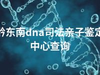 黔东南dna司法亲子鉴定中心查询