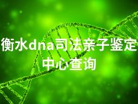 衡水dna司法亲子鉴定中心查询