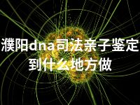 濮阳dna司法亲子鉴定到什么地方做