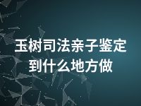 玉树司法亲子鉴定到什么地方做