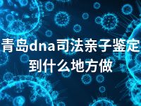 青岛dna司法亲子鉴定到什么地方做