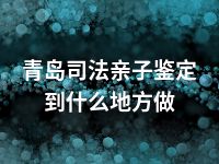 青岛司法亲子鉴定到什么地方做