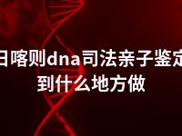 日喀则dna司法亲子鉴定到什么地方做