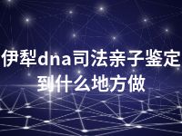 伊犁dna司法亲子鉴定到什么地方做