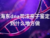 海东dna司法亲子鉴定到什么地方做