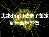 武威dna司法亲子鉴定到什么地方做