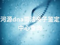 河源dna司法亲子鉴定中心查询