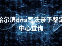 哈尔滨dna司法亲子鉴定中心查询