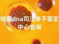 哈密dna司法亲子鉴定中心查询