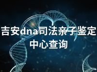 吉安dna司法亲子鉴定中心查询
