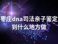 枣庄dna司法亲子鉴定到什么地方做