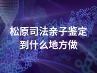 松原司法亲子鉴定到什么地方做