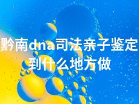 黔南dna司法亲子鉴定到什么地方做