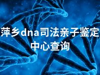 萍乡dna司法亲子鉴定中心查询