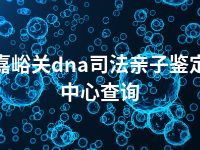 嘉峪关dna司法亲子鉴定中心查询