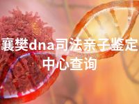 襄樊dna司法亲子鉴定中心查询