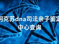 阿克苏dna司法亲子鉴定中心查询