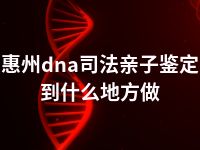 惠州dna司法亲子鉴定到什么地方做