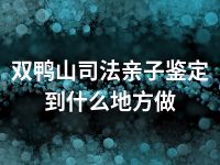 双鸭山司法亲子鉴定到什么地方做