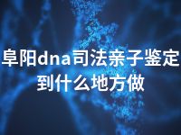 阜阳dna司法亲子鉴定到什么地方做