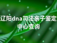 辽阳dna司法亲子鉴定中心查询