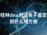 桂林dna司法亲子鉴定到什么地方做