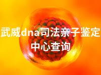 武威dna司法亲子鉴定中心查询