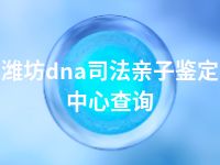 潍坊dna司法亲子鉴定中心查询