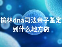 榆林dna司法亲子鉴定到什么地方做