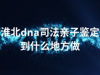 淮北dna司法亲子鉴定到什么地方做