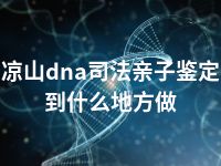 凉山dna司法亲子鉴定到什么地方做