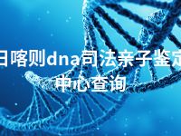 日喀则dna司法亲子鉴定中心查询