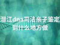 潜江dna司法亲子鉴定到什么地方做