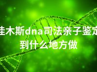 佳木斯dna司法亲子鉴定到什么地方做