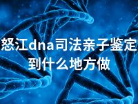 怒江dna司法亲子鉴定到什么地方做