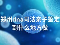 郑州dna司法亲子鉴定到什么地方做