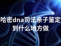 哈密dna司法亲子鉴定到什么地方做