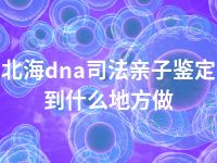 北海dna司法亲子鉴定到什么地方做