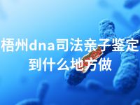 梧州dna司法亲子鉴定到什么地方做