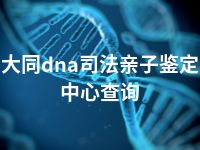 大同dna司法亲子鉴定中心查询