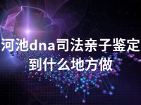 河池dna司法亲子鉴定到什么地方做